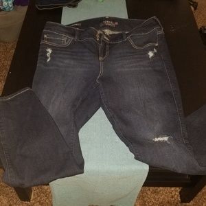 Torrid Premium Jeggings